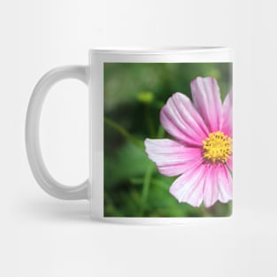 Pink Cosmos Mug